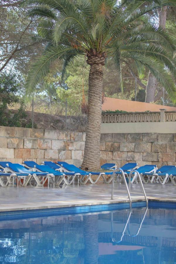 Elegance Playa Arenal Hotel El Arenal  Facilități foto